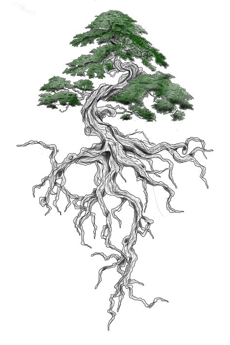 Kapok Tree Drawing, Desert Tree Tattoo, Wisdom Tree Tattoo, Spine Tree Tattoo, Bonsai Tattoo Design, Flower With Roots Tattoo, Bodhi Tree Drawing, Dryad Tattoo, Lebanese Tattoo