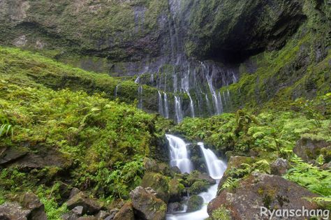 Weeping Wall, Kauai, Hawaii. Kauai Island, Big Island, Hawaii Travel, Kauai, Oahu, Maui, Hawaii, Places To Visit, Favorite Places