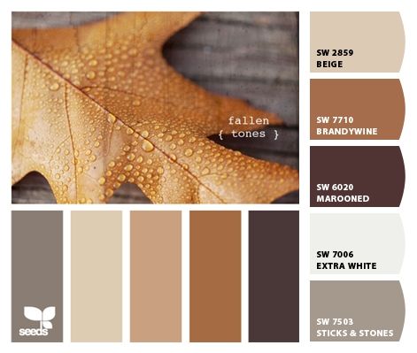 Paint colors from Chip It! by Sherwin-Williams.  For the upstairs guest room Smart Tiles, Room Color Schemes, Cat Air, Color Palate, Brown Living Room, Design Seeds, Natural Home Decor, Cool Ideas, Décor Diy