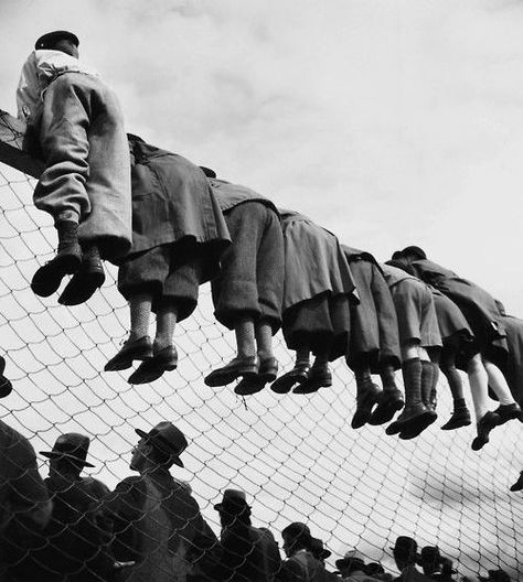 By Emil Heilborn. (At the dog Races - 1930s). Herb Ritts, Elliott Erwitt, Cheetahs, Poster Grafico, Funny Vintage Photos, Fotografi Urban, Paolo Roversi, Robert Doisneau, Foto Vintage