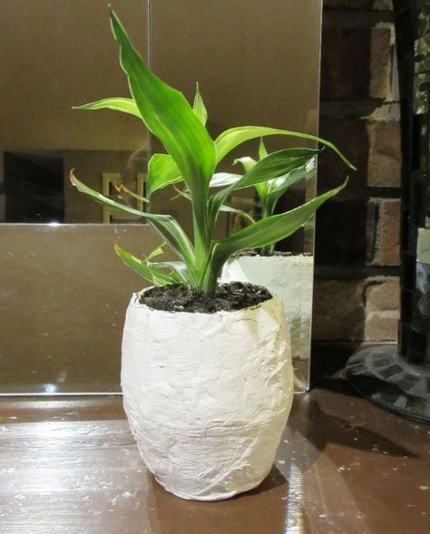 Make your own pot next time you have a plant in need of a home! These Papier Mache Pot for Plants are so easy to make. Instructables Projects, Pot For Plants, Paper Pot, Plant Pot Diy, Paper Wall Hanging, Diy Flower Pots, Wall Hanging Crafts, Cement Crafts, Papel Mache