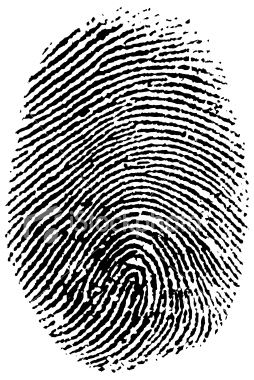 thumbprints Finger Print Sketch, Fingerprint Drawing Thumb Prints, Fingerprint Poster Graphic Design, Thumbprint Art For Kids Thumb Prints, Fingerprint Types, Infant Sweater, Human Equality, Graphics Resources, Thumbprint Art