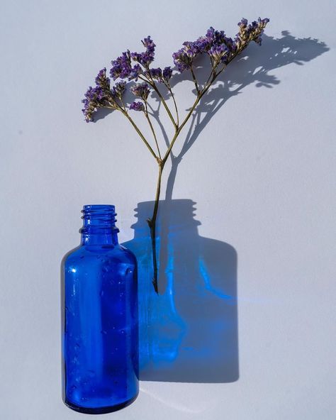 @lilienblum on Instagram: “mood color blue . . . . . . . . #photography #mood #bottle #artoftheday #instaart #blue #glass #daylight #caustic #shadow  #гербарий…” Glass Bottle Photography, Flowers In Glass Bottles, Bottle Photography, Cottage Details, Still Life Pictures, Colored Glass Bottles, Glass Photography, Blue Photography, Blue Glass Bottles