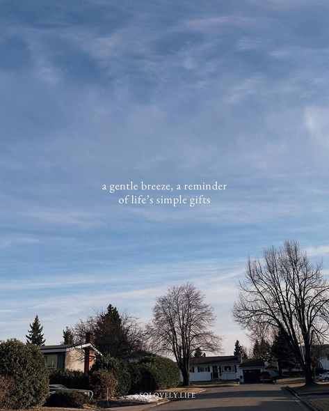 The little things? The little moments? They aren’t little. They’re everything. Tell me something that aren’t little in the comments. #thelittlethings #simplepleasures #cozyvibes #slowliving #slowlife #mindfulness #gratitude #appreciation #joyfulmoments #digitaldiary #peaceandquiet Little Things In Life Aesthetic, Inspiring Sayings, Tell Me Something, Magical Quotes, Little Things In Life, Mindset Motivation, Missing You So Much, Slow Life, March 27