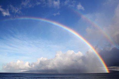 Examples of Dispersion of Light in our daily life - Teachoo Maui Activities, Dispersion Of Light, Jewish Learning, Hebrew School, Maui Travel, Rainbow Photo, Rainbow Connection, Office Window, Vibe Video