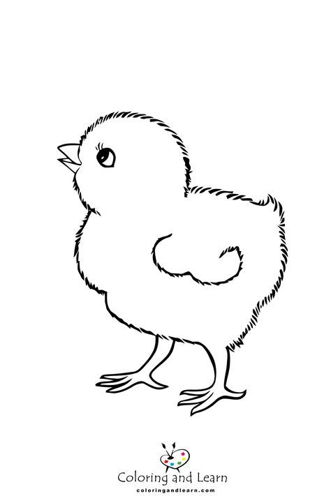 Baby Chick Drawing, Chicks Drawing, Boat Captions, Chick Drawing, Chicken Coloring Pages, Umbrella Drawing, Barnyard Theme, Chicken Coloring, Tiny Tattoos For Women