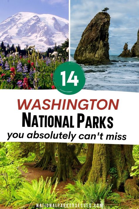 The national parks in Washington are mountain parks with a bit of history sprinkled in. Let's explore the 14 Washington National Parks. list of national parks in Washington state / national parks in wa state / national parks Washington state / how many national parks are in washington state / wa state national parks / best national parks in Washington / national parks near seattle Washington / national parks near spokane wa / national parks in Seattle / seattle national parks Washington National Parks, Best National Parks, Scenic Places, Cascade National Park, Wa State, Best Campgrounds, San Juan Island, North Cascades National Park, National Park Road Trip