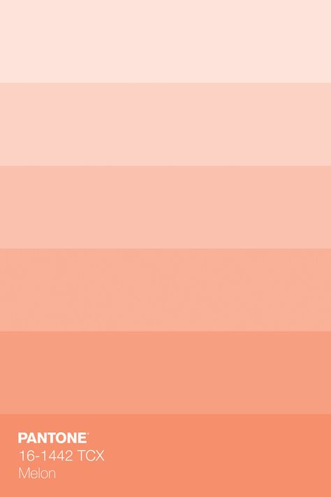 Melon Wall Color, Peach Pantone Color, Peachy Colour Palette, Trending Color Pallets 2023, Pink Peach Palette, Cantaloupe Color Palette, Dusty Peach Color, Orange Tones Colour Palettes, Pink Peach Orange Color Palette