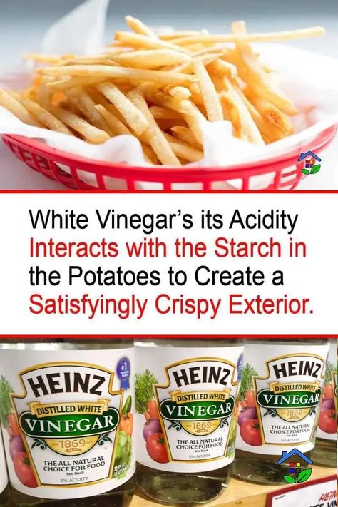 White Vinegar: Your Key to Crispy French Fries Salt And Vinegar French Fries, Best Potatoes For French Fries, Air Fry French Fries Fresh, Crispy Air Fryer French Fries, Homemade French Fries In Deep Fryer, Crispy Oven Fries Cornstarch, Crispy French Fries Recipe, Homemade Fried French Fries, How To Make Crispy French Fries