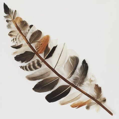 Takken Decor, نباتات منزلية, Deco Nature, Driftwood Crafts, Feather Crafts, Feather Art, Garden Art Sculptures, Art Garden, Rustic Garden Decor