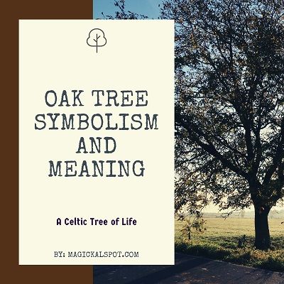 Oak Tree Meaning, Oak Tree Symbolism, Celtic Oak Tree, Ogham Tattoo, Tree Symbolism, Oak Leaf Tattoos, Tree Meanings, Tree Tattoo Meaning, Horticulture Therapy