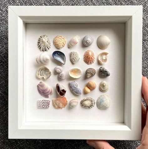 Diy Shell Decor Wall Hangings, Ways To Display Shells, How To Display Seashells, Seashell Art Diy, Shell Ideas, Art Coquillage, Mermaid Room, Shell Crafts Diy, Room Remodel