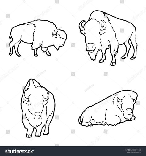 Bison Doodle, Hat Art, American Bison, Animal Cartoon, Social Media Business, Cartoon Animals, Creative Inspiration, Animal Drawings, Cartoon Art