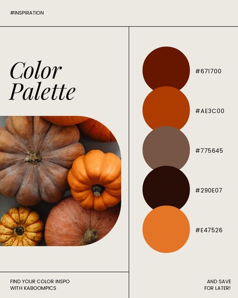 Ready for autumnal inspo? 🤎 There's nothing better than a good old seasonal inspired color palette, of course using our free tool always makes it more fun! Which one is your fave? I love the white pumpkins x . . . #kaboompics #editorialphotography #stockphotos #socialmediamarketing #contentideas #branddesign #branding #socialmediaagencyservices #lifestylebrands #socialmediamanagementagency #automnal #autumninspired #autumnmoodboard Pumpkin Color Palette, Pumpkin Colors, Color Inspo, White Pumpkins, Free Tools, Autumn Inspiration, Good Old, Editorial Photography, Free Stock Photos