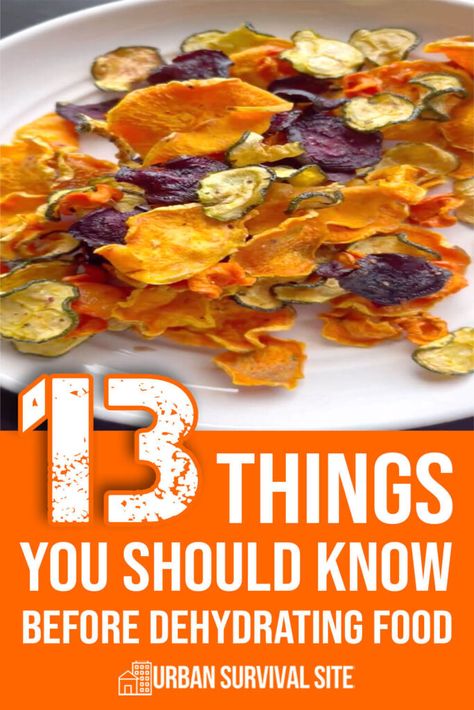 13 Things You Should Know Before Dehydrating Food Pie, Dehydrated Onions In Dehydrator, Dehydrating Celery In Dehydrator, How To Use Dehydrated Food, Dehydrating Mushrooms In Dehydrator, Dehydrated Meals Recipes, Dehydrator Recipes Backpacking, Dehydrated Bacon, Dehydrated Rhubarb