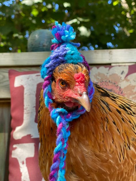 Chicken Hat With Ties - Etsy Chicken Wearing Hat, Knitted Chicken, Adorable Kittens Funny, Farm Chickens, Chicken Hats, Stethoscope Cover, Fancy Chickens, Animal Accessories, Stranger Things Have Happened