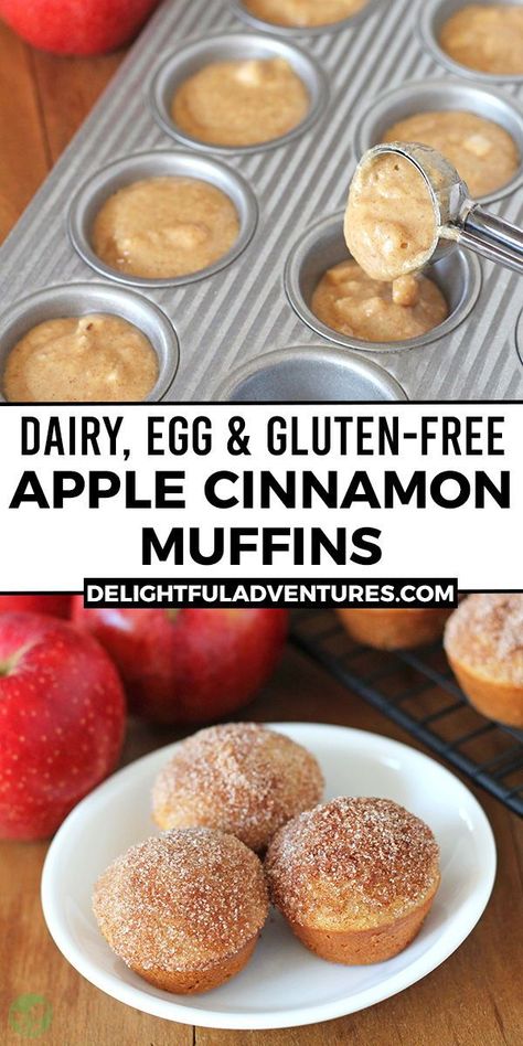 Quick And Easy Dinner Recipes Healthy Gluten Free, Buttermilk Baking, Vegan Apple Muffins, Alpha Gal, Sandwiches Recipes, Keto Baking, Allergen Free Recipes, Gf Baking, Apple Cinnamon Muffins