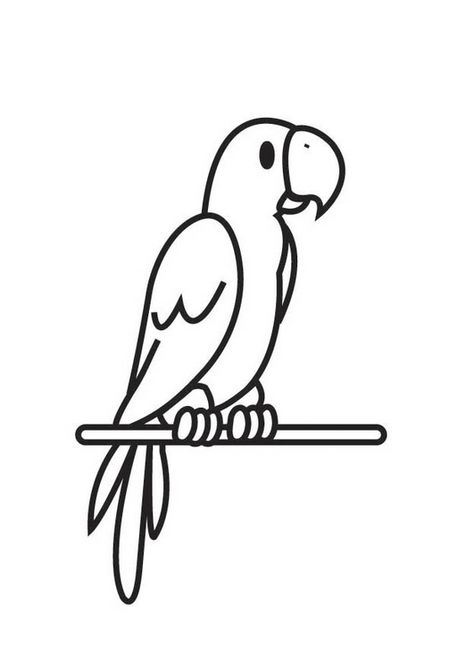 parrot coloring page - Google Search Safari Crafts, Parrot Drawing, Bird Template, Bird Coloring Pages, Art Drawings For Kids, Animal Coloring Pages, Color Therapy, Line Art Drawings, Coloring Book Pages