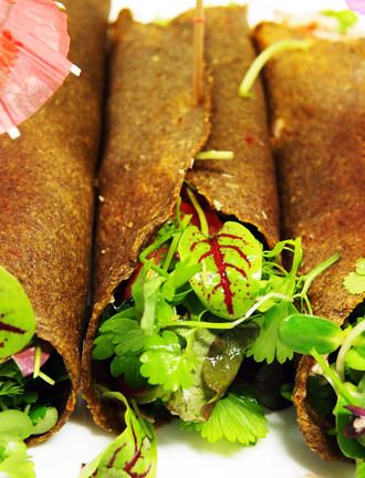 Raw Wraps, Raw Food Diet Plan, Vegan Tortilla, Healthy Food Alternatives, Vegan Wraps, Vegan Recipes Beginner, Food Dehydrator, Puerto Morelos, Raw Food Diet