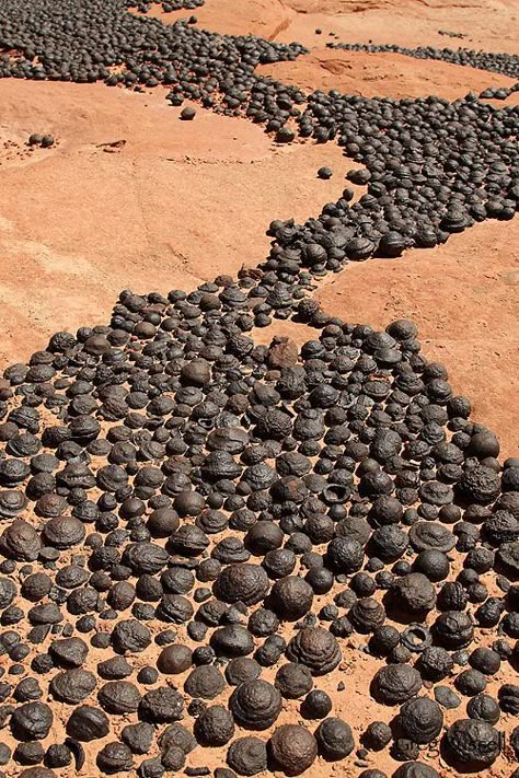 River of Moqui Marbles Grand Staircase National Monument, Grand Staircase Escalante, Escalante National Monument, Geology Rocks, Northern Arizona, Grand Staircase, Natural Phenomena, National Monuments, Iron Oxide