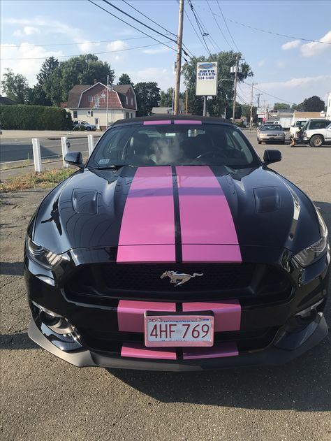 My 2017 Mustang GT Metallic Pink Stripes Black Mustang With Pink Stripes, Pink Mustang Aesthetic, Black And Pink Mustang, 2017 Mustang Gt, Pink Mustang Gt, Girly Mustang, Mustang With Stripes, Pink And Black Car, Mustangs Cars