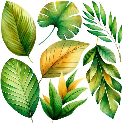 Premium PSD | A collection of green and yellow leaves and palm leaves Palm Leaves Watercolor, Different Types Of Plants, Leaves Watercolor, Psd Template Free, Yellow Leaves, Green And Yellow, Types Of Plants, Palm Leaves, Free Psd