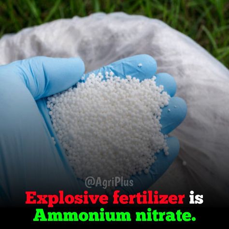 Ammonium Nitrate