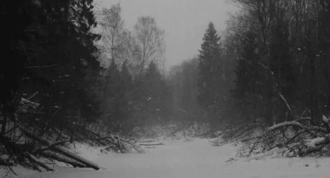 Black And White Gif, Snow Gif, Animiertes Gif, I Love Winter, Banner Gif, Clipuri Video, Nature Gif, Animated Images, Aesthetic Gif