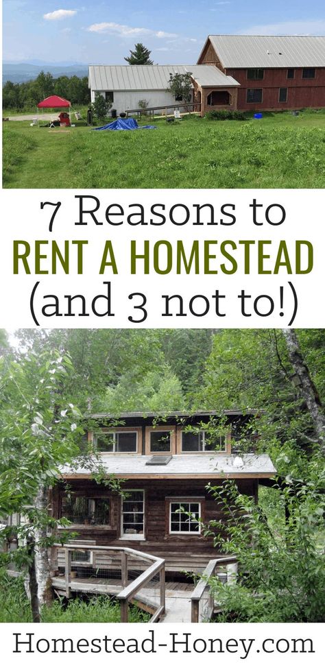 You dream of homesteading, but don't yet have a property. Here are 7 reasons to rent a homestead before you buy, and 3 reasons to buy a homestead now. #homesteading #homestead Homestead Land, Homestead Property, Farm Plans, Urban Farmer, Tiny House Community, Homestead Living, Urban Homesteading, Backyard Farming, Farms Living