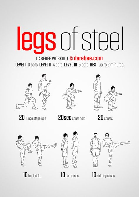 Inner Leg Workout, Darbee Workout, Leg Workout Plan, Leg Workouts For Men, Calf Exercises, Trening Sztuk Walki, Leg Workout At Home, Fitness Shirts, Gym Workout Chart