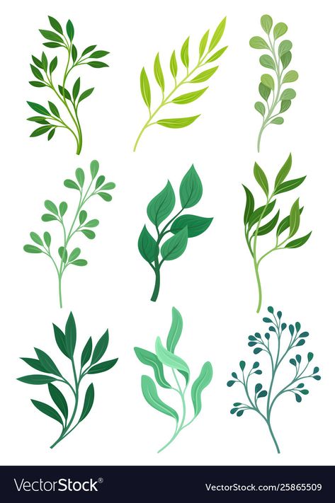 Leaves Vector Illustrations, Adobe Illustrator Flowers, Leaves Illustration Pattern, Flowers Vector Illustration, Plant Illustration Simple, Vegetation Illustration, Leave Illustration, Leave Drawing, Fiori Art Deco