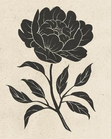 Lotus Modern Art, Linocut Flowers Pattern, Peony Block Print, Floral Lino Print, Peony Linocut, Moth Sleeve Tattoo, Annie Tattoo, Flower Linocut, Plant Line Art