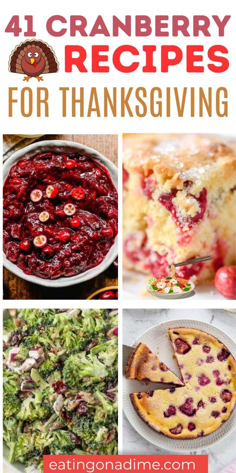 Get ready to elevate your Thanksgiving feast with a burst of tart and tangy deliciousness. With these amazing Homemade Thanksgiving cranberry recipes.  Delight your taste buds with creative concoctions like cranberry-stuffed muffins and cranberry cheesecake. This Thanksgiving, let dried cranberries be the star of the show. #eatingonadime #cranberryrecipesforthanksgiving #thanksgivingrecipes Thanksgiving Cranberry Recipes Side Dishes, Recipes For Cranberries, Dry Cranberry Recipes, Thanksgiving Cranberry Recipes, Cranberry Recipes For Thanksgiving, Cranberry Recipes Healthy, Cranberry Recipes Easy, Recipes With Cranberries, Cranberry Recipes Thanksgiving