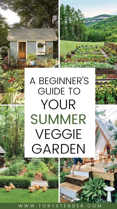 A beginner's guide to your summer veggie garden Spring Vegetable Garden Layout, Outdoor Veggie Garden Ideas, Best Vegetable Garden Layout, Kitchen Garden For Beginners, Beginning Vegetable Garden, Summer Veggie Garden, Midwest Vegetable Garden, Diy Garden Layout Ideas, Planning A Vegetable Garden Layout