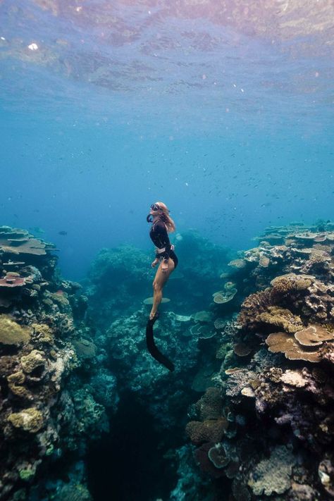 girl free diving on the Great Barrier Reef Diving Great Barrier Reef, Coral Reef Snorkeling, Snorkeling Great Barrier Reef, The Great Barrier Reef Aesthetic, Scooba Diving Aesthetic, Coral Reef Diving, Great Barrier Reef Aesthetic, Diving Aesthetic, Great Barrier Reef Diving