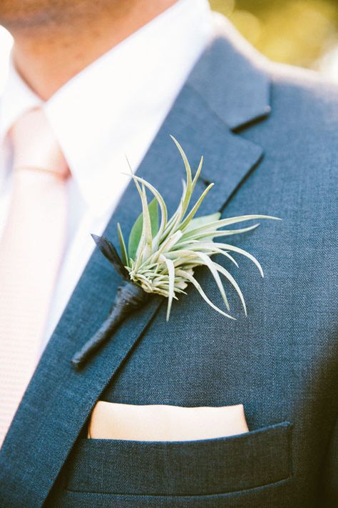 Air Plant Wedding Bouquet, Air Plant Wedding Decor, Air Plant Bouquet, Plant Boutonniere, Air Plant Wedding, Boutineer Ideas, Air Plants Wedding, Plant Bouquet, The Countdown Begins