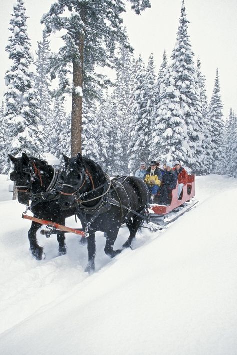 Sarah Carpenter, Visit Colorado, Dashing Through The Snow, Colorado Vacation, Pre Christmas, Winter Magic, Winter Scenery, Travel Locations, Sleigh Ride