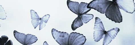 Blue Aesthetic Fb Cover, Butterfly Aesthetic Twitter Header, Butterfly Medium Widget, Butterfly Notion Cover, Blue Butterfly Header, Butterfly Discord Banner, Butterfly Header Aesthetic, Blue Butterfly Widget, Butterfly Twitter Header