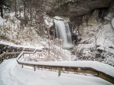 If you’ve only seen Looking Glass Falls, Linville Falls and other cascades in warm weather, visit again on a chilly winter day to experience a magical – sometimes frozen – scene. North Carolina Winter, Frozen Scenes, Nc Waterfalls, Kate Stewart, Sugar Mountain, Winter Hike, East Coast Travel, North Carolina Travel, Banner Elk