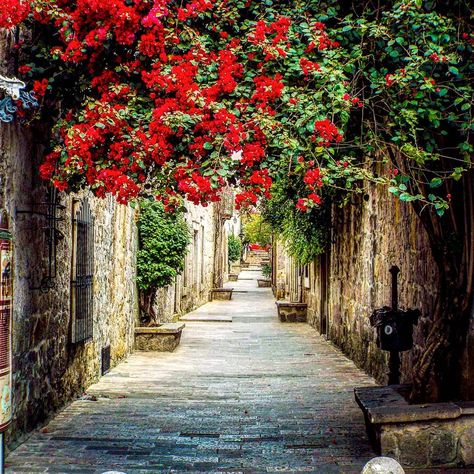 El Callejón del Romance, la calle más bella de Morelia | Rincones de México Travel, Mexico Travel, Romance, Drawings