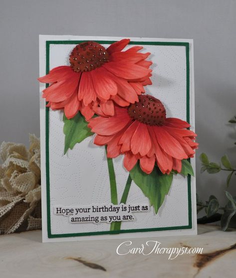 Honey Bee Stamps Coneflower, Coneflower Cards Handmade, Honey Bee Lovely Layers Coneflower, Honey Bee Stamps And Dies, Honey Bee Stamps Cards, Beautiful Cards Handmade, Coneflower Cards, Creative Handmade Cards, Honey Bee Lovely Layers