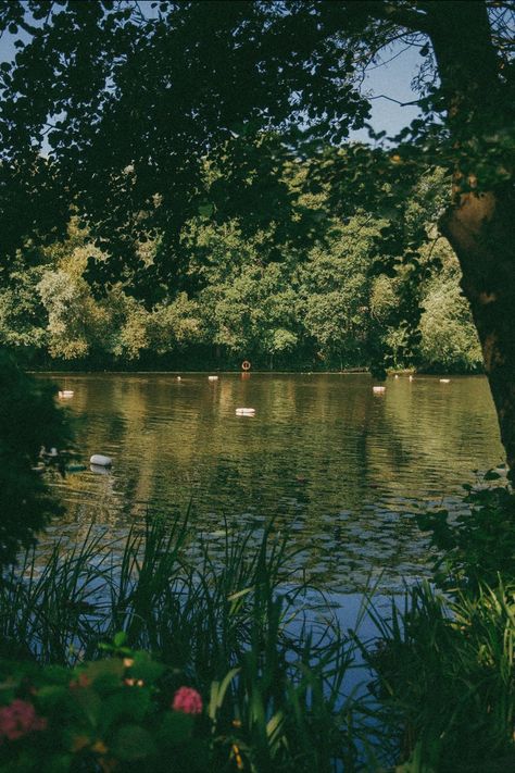 // this time next year book Hampstead Ponds, Swimming Ponds, Lake Swimming, Hampstead London, Aesthetic London, London Dreams, London Living, Wild Swimming, Hampstead Heath