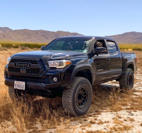 Black Tacoma Trd Pro, Black Tacoma Lifted, Toyota Tacoma Blacked Out, 2023 Tacoma Trd Off Road, Black Toyota Tacoma, Tacoma Rims, Black Tacoma, Tacoma 2022, Trd Pro Tacoma