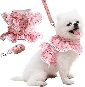 Pink Girl Outfits, Harness For Small Dogs, Dog Accesories, Small Dog Harness, Vest Harness, Puppy Harness, Dog Vest Harness, Cat Harness, Girl Dog