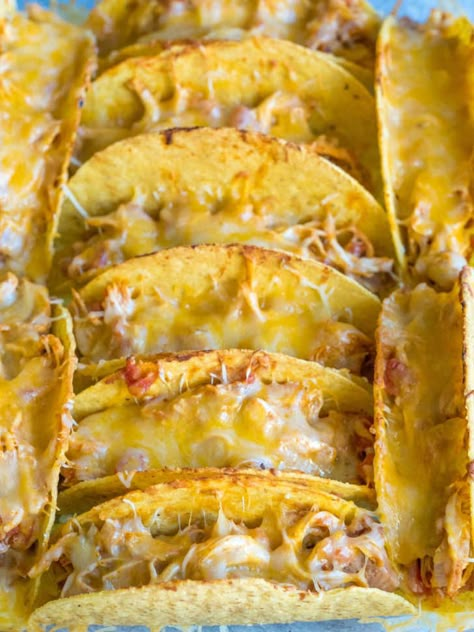 Baked Chicken Tacos | 12 Tomatoes Baked Chicken Tacos 12 Tomatoes, Chicken Baked Tacos Recipe, Easy Baked Chicken Tacos, Chicken Tacos Baked In Oven, Oven Baked Chicken Tacos, Bake Chicken Tacos, Baked Tacos Chicken, Chicken Baked Tacos, Baked Chicken Tacos Oven