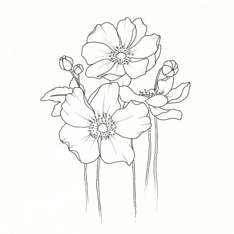 Anemone Line Drawing, Japanese Anemone Drawing, Anemone Coronaria Tattoo, Anenome Flower Tattoos, Anemone Flower Drawing, Anemone Flower Tattoo, Anemone Embroidery, Anemone Drawing, Anenome Flower