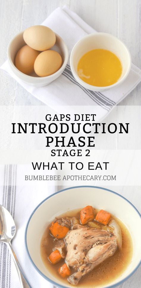 Gaps Stage 2 Recipes, Gaps Meals, Gaps Diet Food List, Gap Diet, Body Regeneration, Natural Motherhood, Bumblebee Apothecary, Gaps Intro Diet, Homemade Baby Food Storage