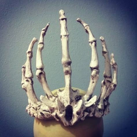 Halloween Style!! Wonderful Bone crown for a King or Queen of Halloween! Crown Of Bones, Bone Crown, Finger Bones, Crown Apple, Crown Tattoos, Apple Drinks, Ribbon Collar, Crown Aesthetic, Bone Art