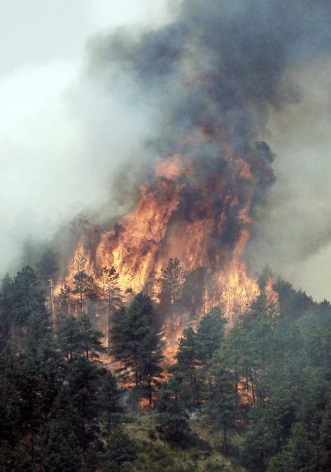 Magdiel Lopez, Fire Tornado, Wildland Fire, Wildland Firefighter, Acres Of Land, Windy Weather, Wild Fire, Fire Nation, Forest Fire