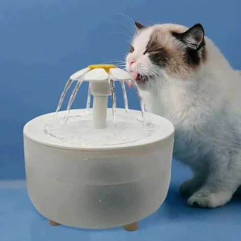 Pets Water Fountain Auto Filter USB Electric Mute Cat Drinker Bowl 1200mL Cat Food Station, Cat Water Fountain, Pet Water Fountain, Car Filter, Tap Water, Water Dispenser, Water Flow, Water Fountain, Pet Supplies Dog